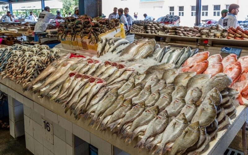 ما هي اسعار السمك اليوم الجمعة 23 فبراير 2024 للمُستهلك في سوق العبور