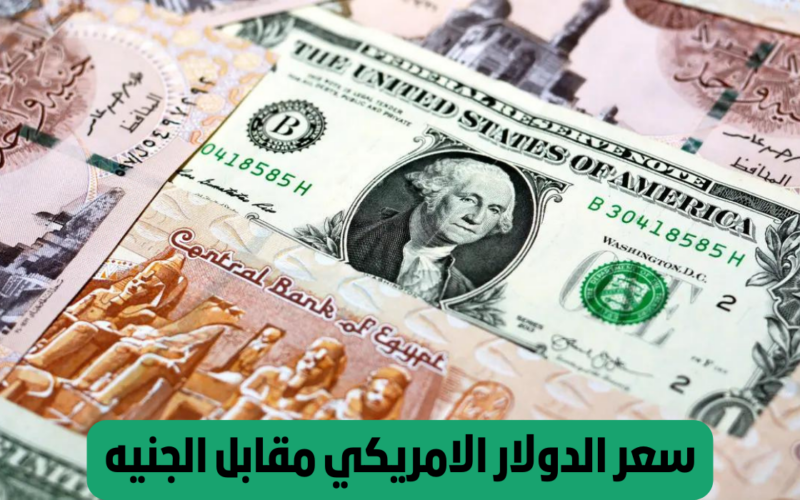يلامس السعر الرسمي.. سعر الدولار فى السوق الموازى اليوم الخميس 29 فبراير 2024 في مصر