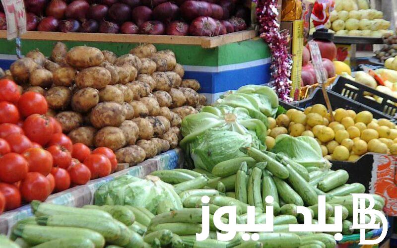 “جميع الخضار” اسعار الخضار اليوم السبت 17 فبراير في سوق العبور للمستهلك في مصر