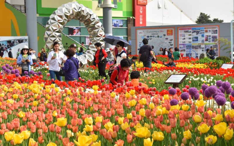 عاجل “السعودية الخضراء” معرض الزهور 2024 وموعد افتتاحه في مدينة ينبع