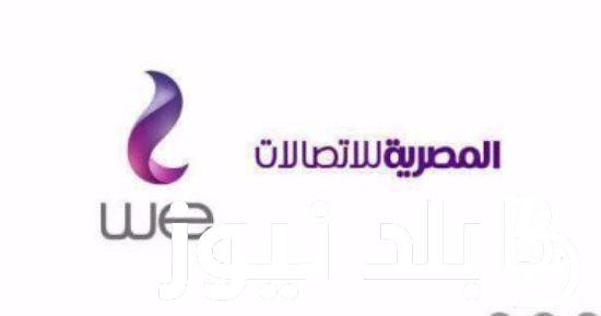 الاستعلام عن فاتورة التليفون الأرضي اليوم السابع لشهر فبراير عبر موقع المصرية للاتصالات billing.te.eg