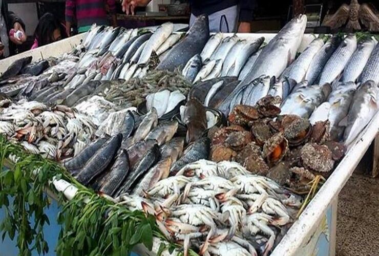 “السمك بكام؟” تعرف على اسعار السمك اليوم الثلاثاء 13 فبراير 2024 بالاسواق المصرية