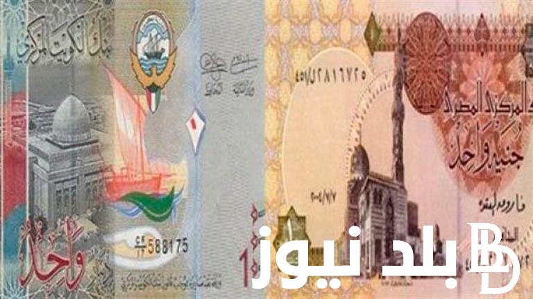 اخر تحديث سعر الدينار الكويتي اليوم في السوق السوداء الخميس 15 فبراير 2024 امام الجنيه المصري