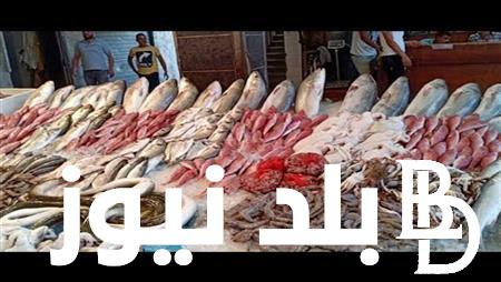 ننشُر جدول أسعار السمك اليوم للمستهلك الخميس 15 فبراير 2024 في سوق العبور