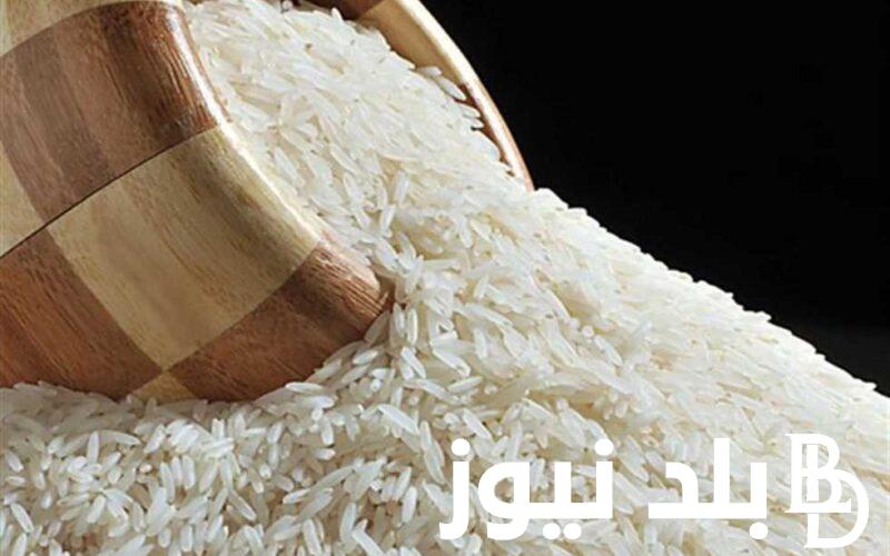 بكام الارز؟.. سعر طن الأرز الشعير اليوم الاثنين 12 فبراير 2024 في جميع الاسواق المصرية