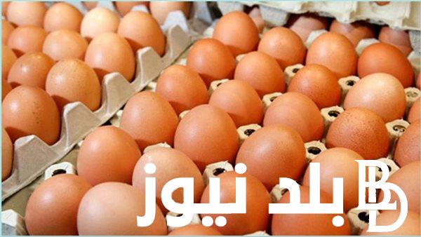 “قبل رمضان” اسعار البيض اليوم الاحد 25 فبراير 2024 للمستهلك في مصر