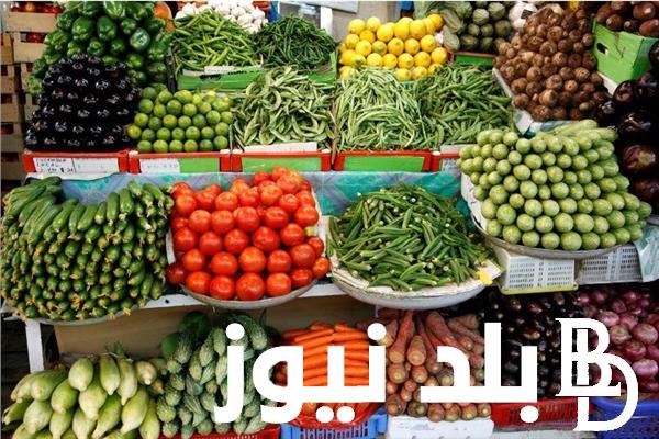 جدول اسعار الخضار سوق العبور اليوم الجمعة 2 فبراير 2024 في مصر للمستهلك
