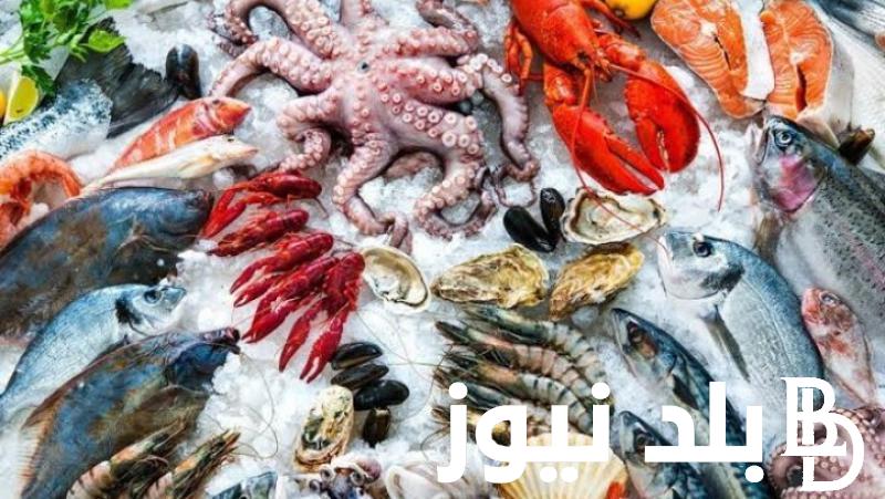 “بكام السمك”  أسعار السمك اليوم الخميس 15 فبراير 2024 للمستهلك في مصر