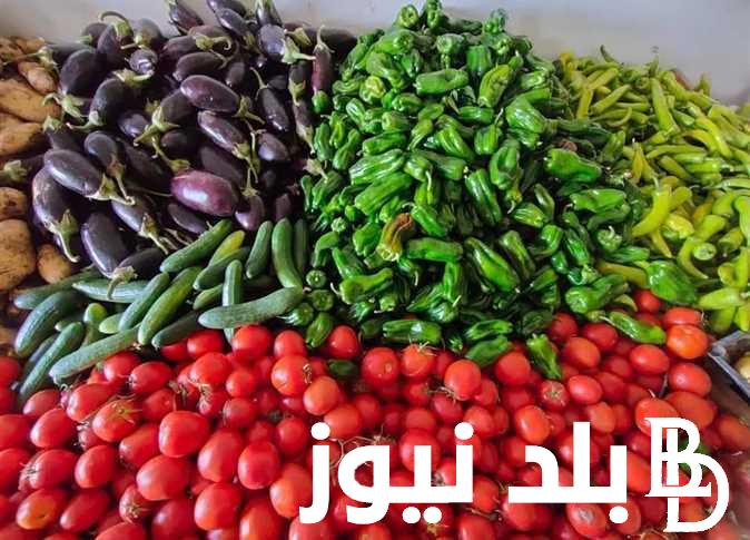 شوف الجوافة بكام؟.. أسعار الخضروات في سوق العبور اليوم الاربعاء 29 فبراير 2024 للمستهلك