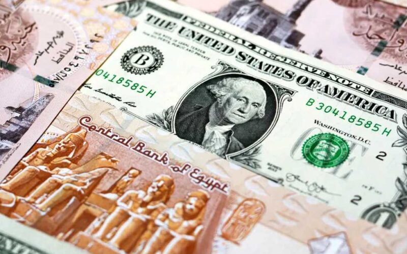 “الدولار عامل قلق” الدولار بكام انهاردة في السوق السودا مقابل الجنية المصري والبنوك بتاريخ 12 فبراير 2024