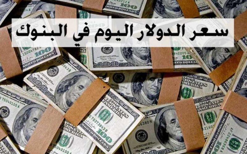 نزل لسابع ارض.. سعر الدولار اليوم مقابل الجنيه المصري اليوم السبت 3 فبراير 2024 في مصر