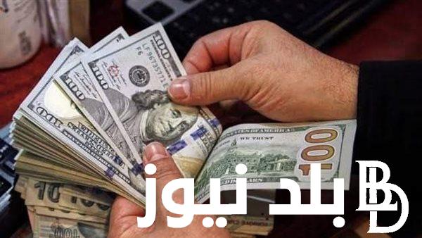 هل الاسعار هتنزل بعد تراجع سعر الدولار في السوق السوداء وهل يستقر الدولار أم سيستمر في الإنخفاض