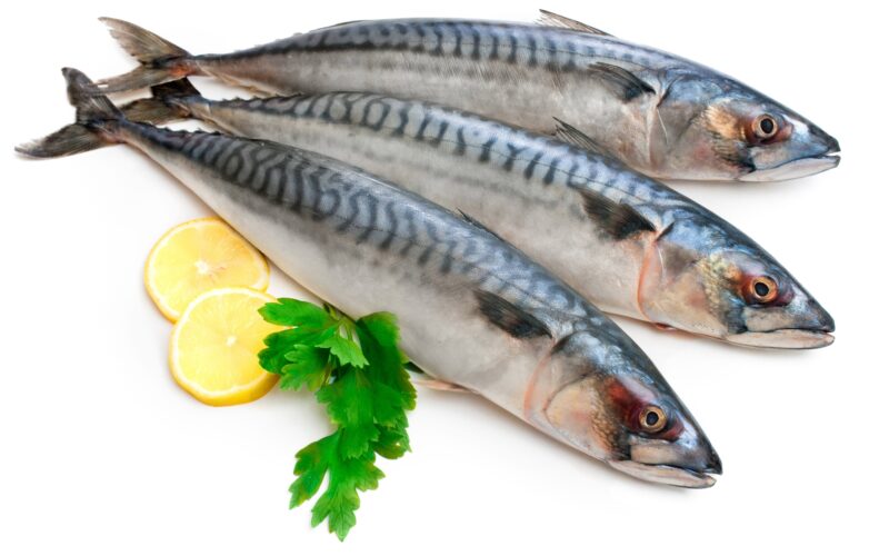 ننشر جدول أسعار السمك اليوم للمستهلك الأحد 18 فبراير 2024