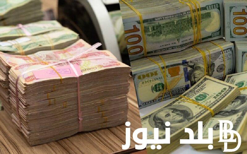 “الاخضر عامل قلق” سعر 100 دولار في العراق اليوم الثلاثاء 13 فبراير 2024 ببورصة الكفاح