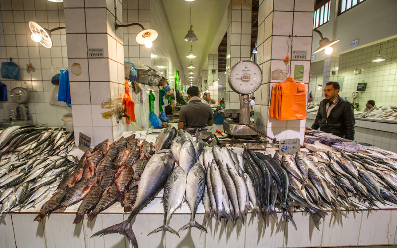 “البطلي بكام النهاردة” أسعار السمك اليوم للمستهلك الاربعاء 21 فبراير 2024 في الاسوق المصرية