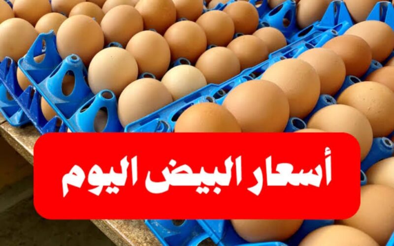 اعرف الكرتونة بكام؟.. سعر البيض اليوم الاحد 11 فبراير 2024 للمستهلك في مصر في جميع الاسواق