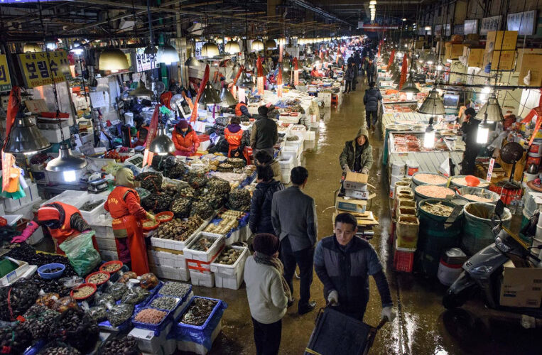 الآن “سوق السَمك” أسعار السمك اليوم للمستهلك الثلاثاء 20 فبراير في سوق العبور وسوق الجملة