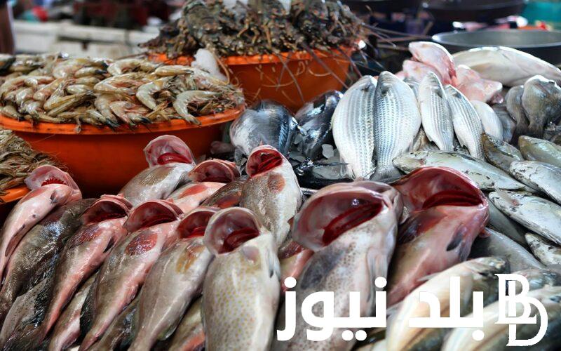 “سوق الجُملة” اسعار السمك اليوم الثلاثاء 20 فبراير 2024 في سوق العبور بمصر