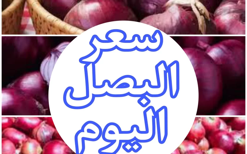 هاام: ارتفاع سعر البصل 400% في السعودية.. تعرف على الاسباب وموعد انتهاء الازمة