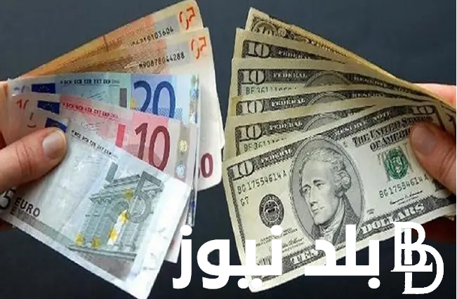 100 يورو كم دولار.. كم سعر الدولار مقابل الجنيه المصري في السوق السوداء اليوم الاثنين 5 فبراير 2024