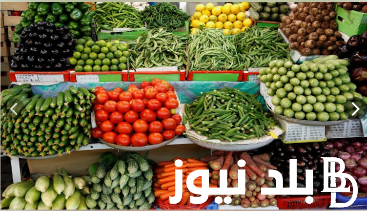 قائمة أسعار الخضروات في سوق العبور اليوم الأحد 18 فبراير 2024 للمُستهلك
