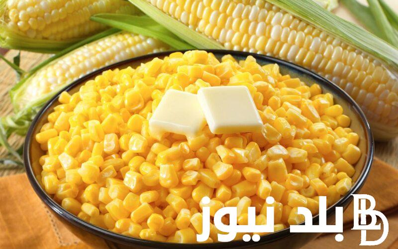 “سويت كورن” سعر طن الذرة اليوم الخميس 1 فبراير 2024 في مصر للمستهلك