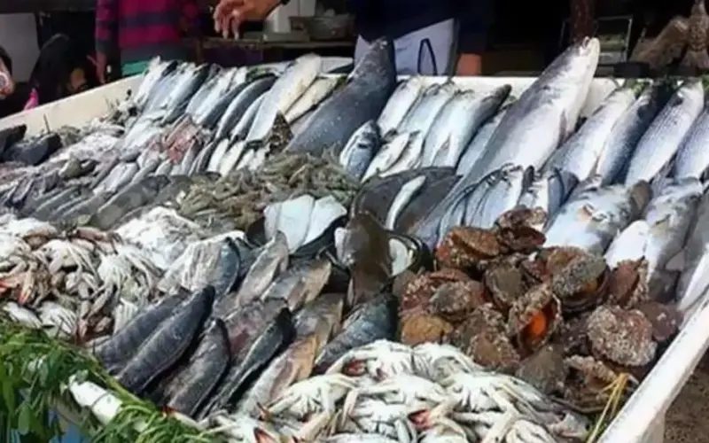 “سردين وبوري” أسعار السمك اليوم للمستهلك الخميس 22 فبراير في جميع الاسواق المحلية