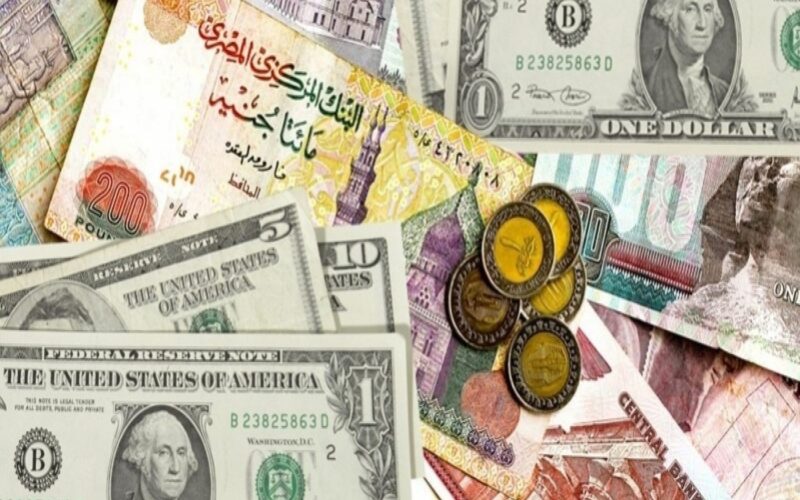 “الجنيه هيرجع لمكانته” سعر الدولار في السوق السوداء اليوم لحظة بلحظة بتاريخ السبت 24-2-2024