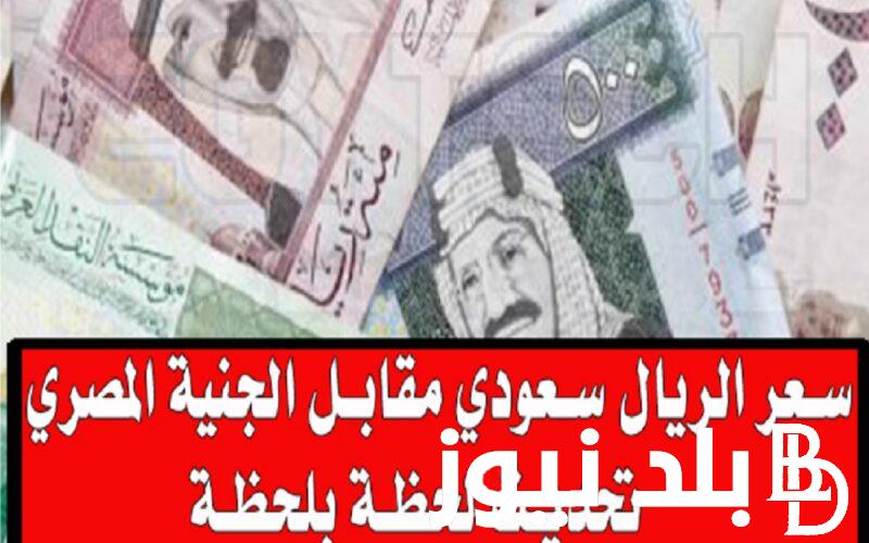 هبوط مُفاجئ.. سعر صرف الريال السعودي الان في السوق السوداء اليوم الاربعاء 28/2/2024 في مصر