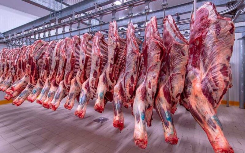 “الجملي بكام” اسعار اللحوم الحمراء اليوم الثلاثاء 2024/2/6 للمستهلك في محلات الجزارة