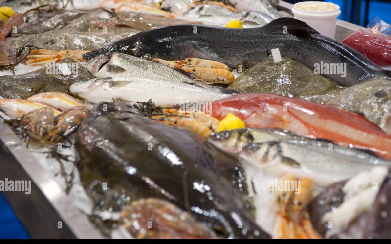 تعرف على.. سعر كيلو السمك اليوم الاثنين 26 فبراير 2024 في الاسواق و الشوادر
