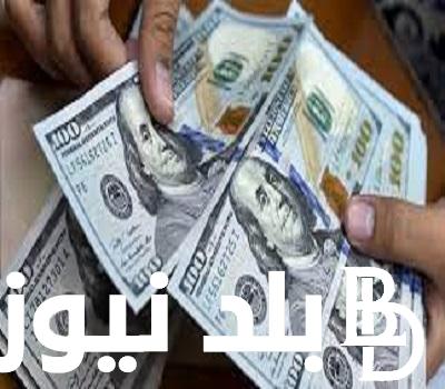 “الدولار ناوى علي ايه” 100 دولار كم جنيه مصري اليوم في السوق السوداء بتاريخ الاربعاء 7 فبراير 2024