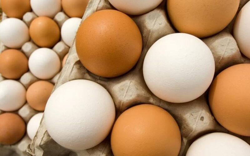 “البيضة بقت بـ 6.5 ج”.. سعر كرتونة البيض الابيض اليوم للمستهلك بتاريخ 19 فبراير 2024 في الاسواق المحلية والمحلات التجارية