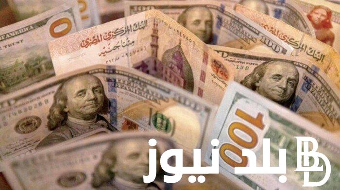 اجتماع البنك المركزي المصري سعر الدولار اليوم الخميس 1 فبراير 2024 حول سعر الفائدة