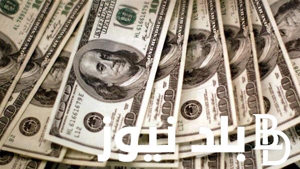 “الاخضر يتراجع” سعر الدولار اليوم في مصر تحديث يومي مقابل الجنيه المصري بتاريخ 6 فبراير 2024