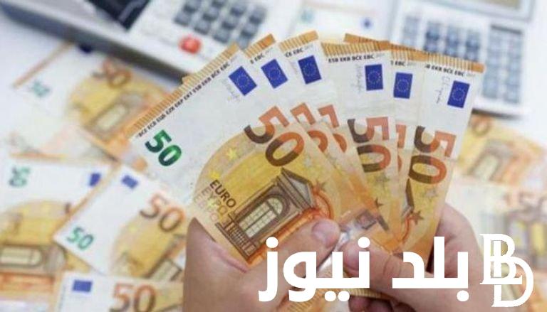“الدولار vs اليورو” سعر اليورو في السوق السوداء اليوم 2024 .. 1يورو كم جنيه مصري؟