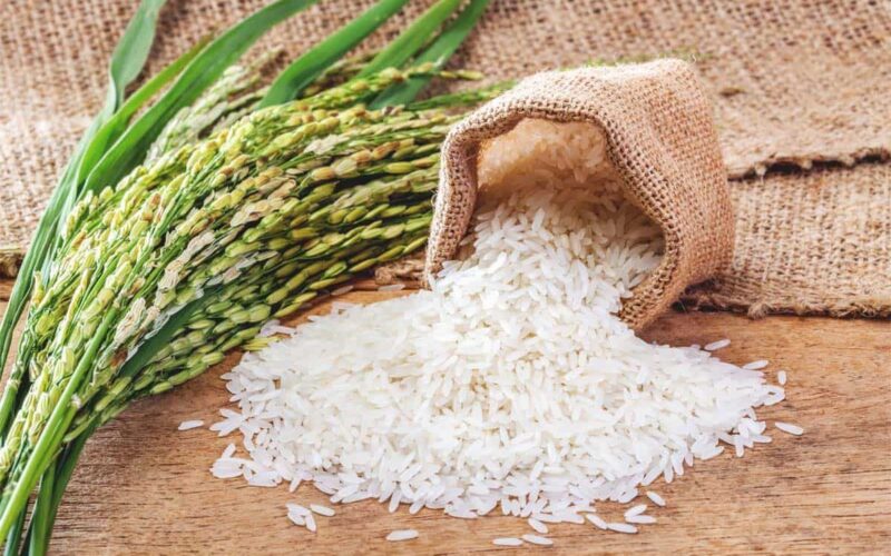 وصل لكام.. سعر طن الأرز الشعير اليوم الاربعاء 28 فبراير 2024 في الاسواق