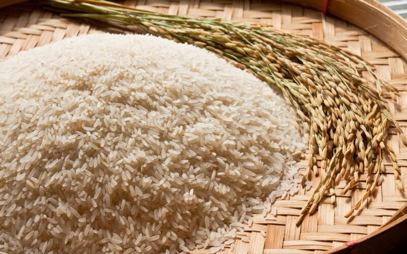 “السعر الجديد” سعر طن الأرز الشعير اليوم السبت 24 فبراير في جميع الأسواق المحلية والمنافذ التموينية