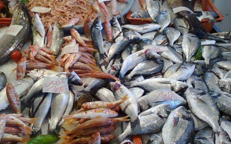 جدول اسعار السمك اليوم للمستهلك الخميس 29 فبراير 2024 في سوق العبور