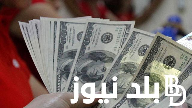 انخفاض سعر الدولار امام الجنيه المصري في السوق السوداء اليوم الاحد 4 فبراير 2024