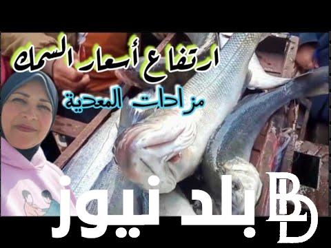 “بلطي وبوري” سعر السمك اليوم فى سوق العبور السبت 17-2-2024 للمستهلك بمصر