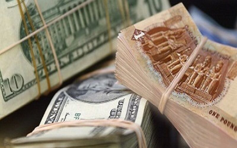 سعر الدولار مقابل الجنيه المصري في السوق السوداء وفي البنوك المصرية بتاريخ 19 فبراير 2024
