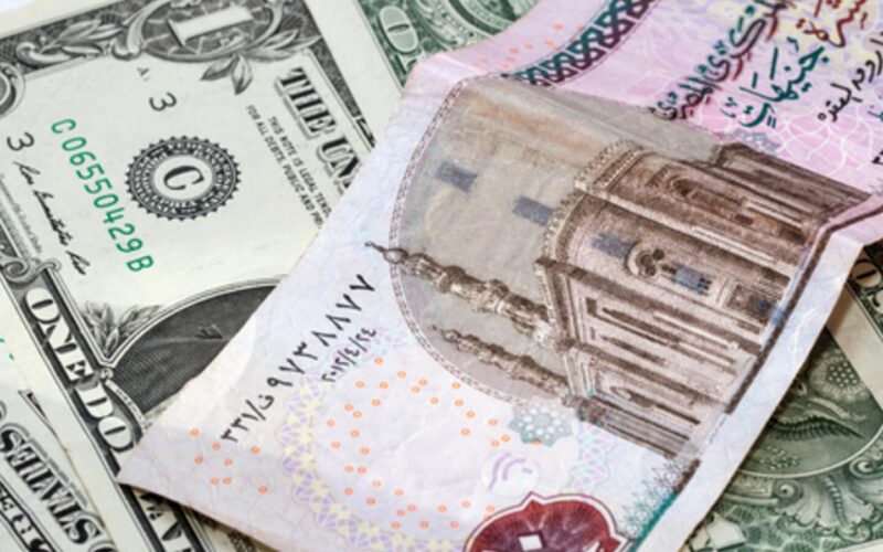 سعر الدولار مقابل الجنيه المصري في السوق السوداء اليوم الثلاثاء 6 فبراير 2024 وفي البنوك المصرية