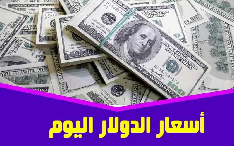 “لحظة بلحظة” سعر الدولار اليوم مقابل الجنيه المصري بالسوق الموازية والبنوك المصرية