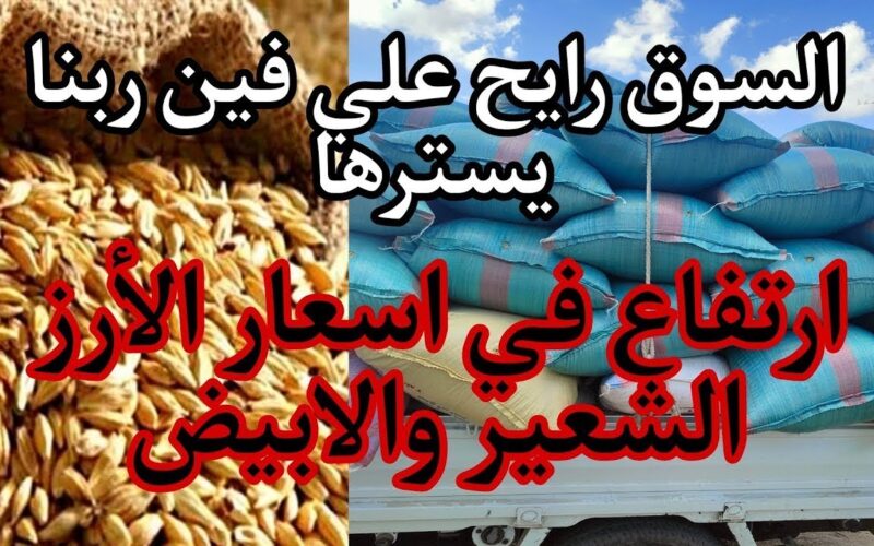 “الكيلو أغلي من الدولار” سعر طن الأرز الشعير اليوم الجمعة الموافق 16 فبراير 2024 في كل أسواق الجملة والمحلات التجارية للمستهلك