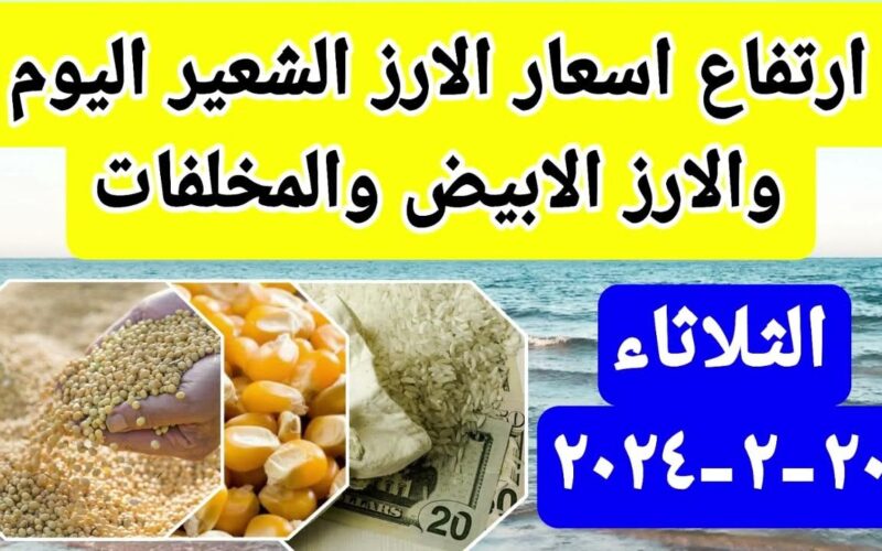 “خزني قبل رمضان” سعر طن الأرز الشعير اليوم الثلاثاء 20 فبراير 204 للمستهلك في مصر