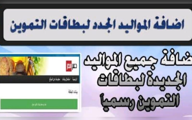 الان.. رابط بوابة مصر الرقمية لإضافة المواليد 2024 بالشروط والأوراق المُوضحة من وزارة التموين
