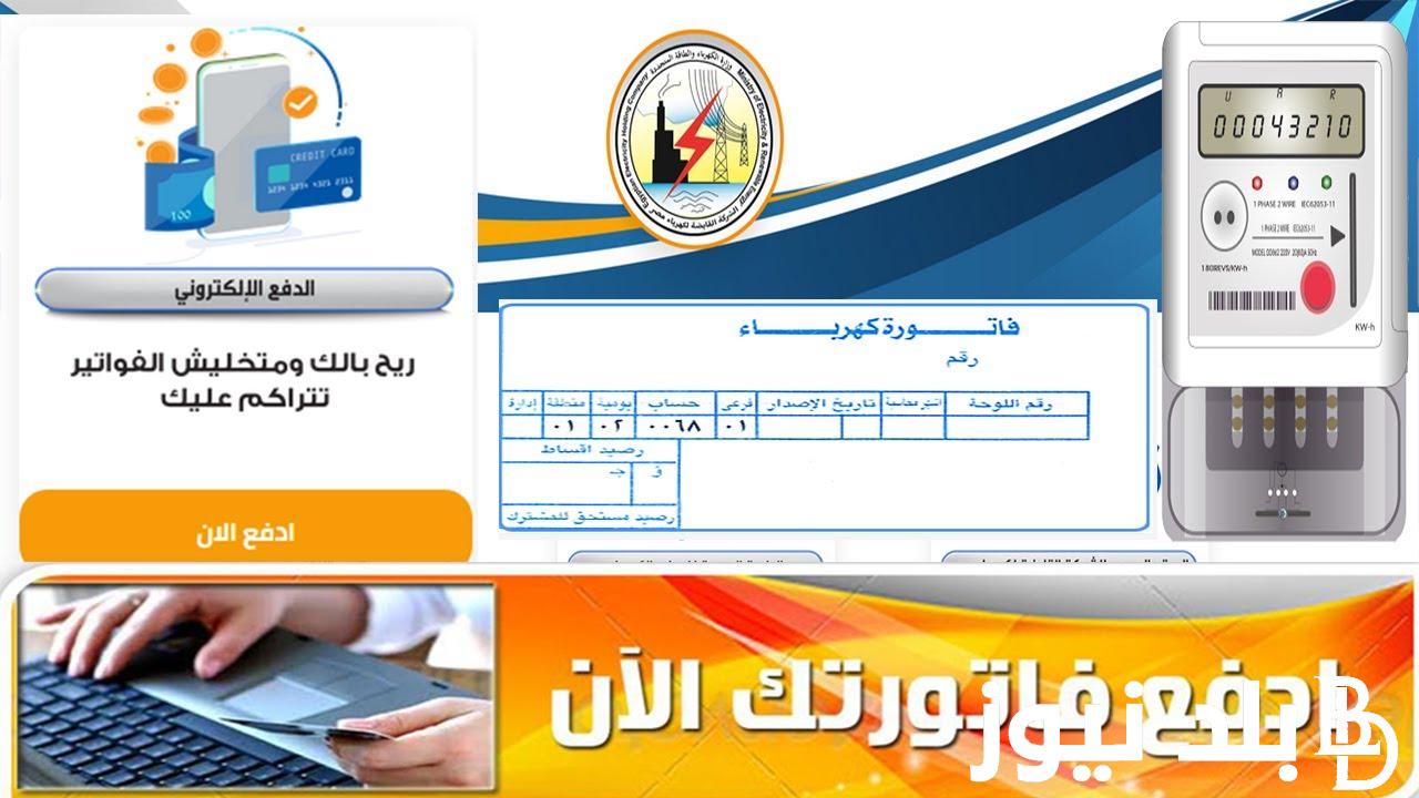 لينك الاستعلام عن فاتورة الكهرباء شهر فبراير 2024 بشركة مصر الوسطى ورابط الاستعلام عبر eehc.gov.eg