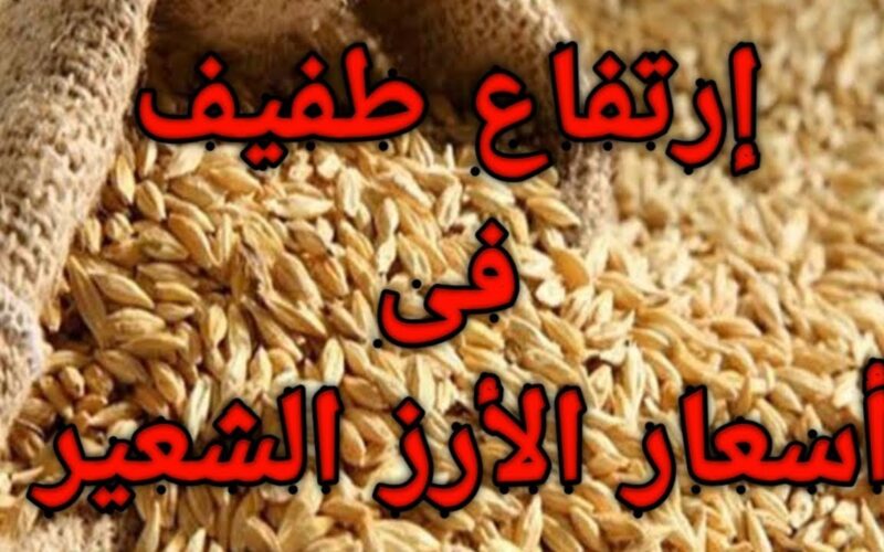 “الكيلو بـ30” سعر طن الارز الشعير اليوم الجمعة 9 فبراير 2024 في مصر بجميع الاسواق التجارية