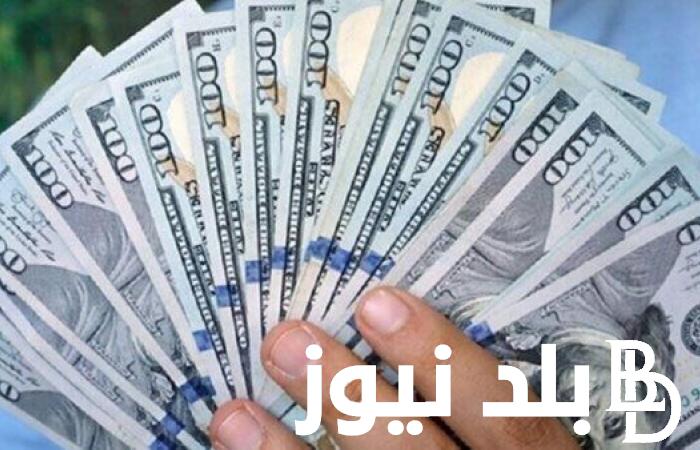 “الدولار يتذبذب” أعلى سعر للدولار اليوم في السوق السوداء الاثنين 19 فبراير 2024 في مصر